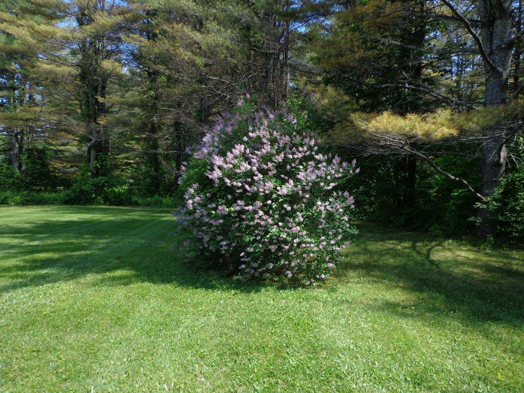 251 Titcomb Hill Road Farmington, ME 04938 - Photo 34 of 35 Photo