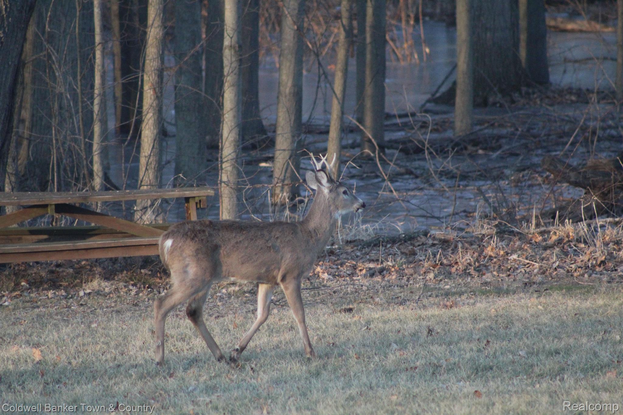1640 South Lima Center Road Chelsea, MI 48118 - Photo 71 of 73 Gallery Image 71