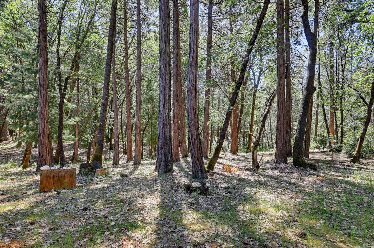 14517 North Bloomfield Road Nevada City, CA 95959 - Photo 46 of 78