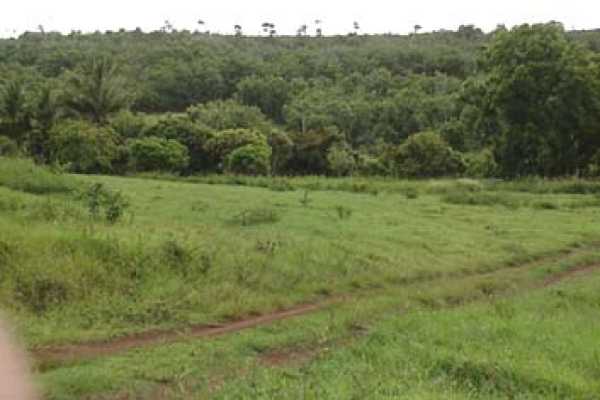 Koolau Road, Unit A Kilauea, HI 96754 - Photo 6 of 6 a view of a field of grass and trees
