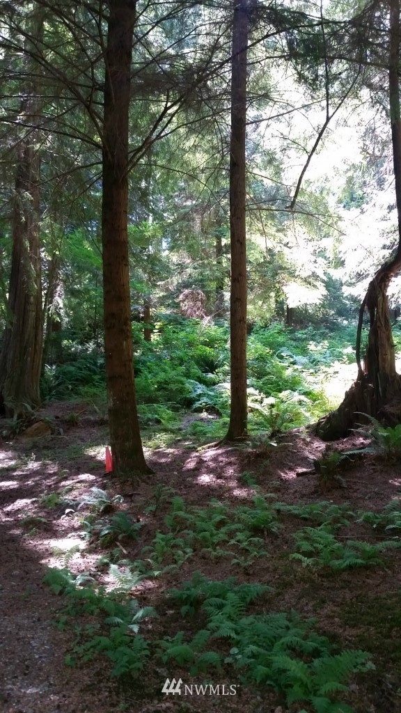 135 Summerland Road Bellingham, WA 98229 - Photo 4 of 7 Gallery Image 4