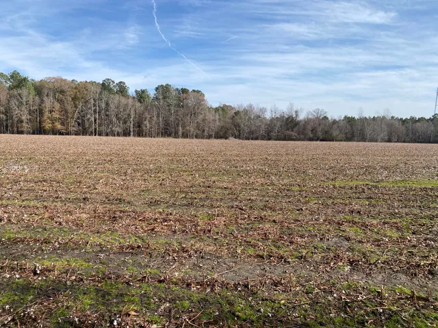 $154,950 | 0 Misty Glen Road, St. George, SC 29477