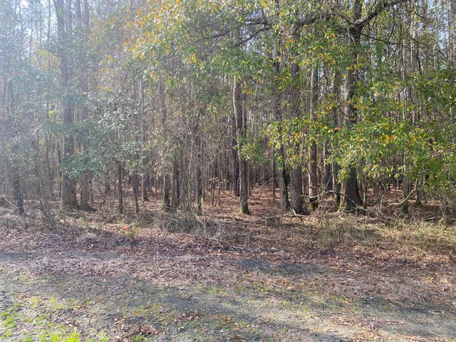 $154,950 | 0 Misty Glen Road, St. George, SC 29477