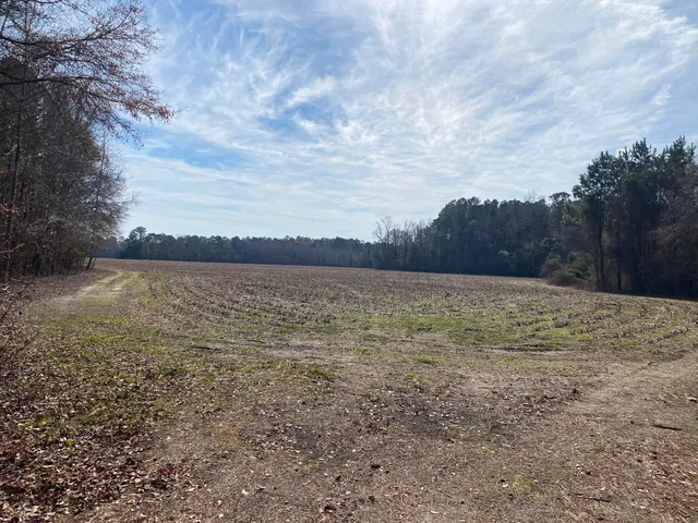 $154,950 | 0 Misty Glen Road, St. George, SC 29477