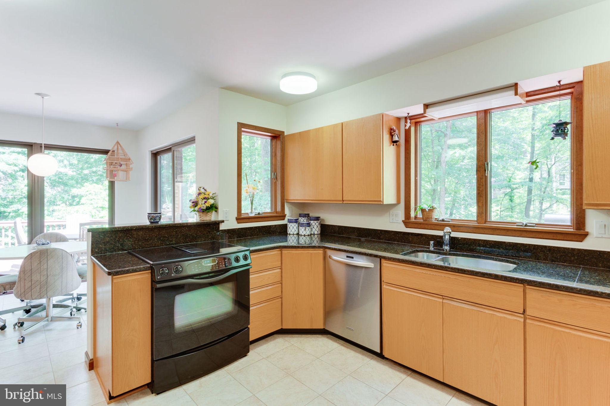 6230 Park Road McLean, VA 22101 - Photo 14 of 54 Beautiful views from every angle