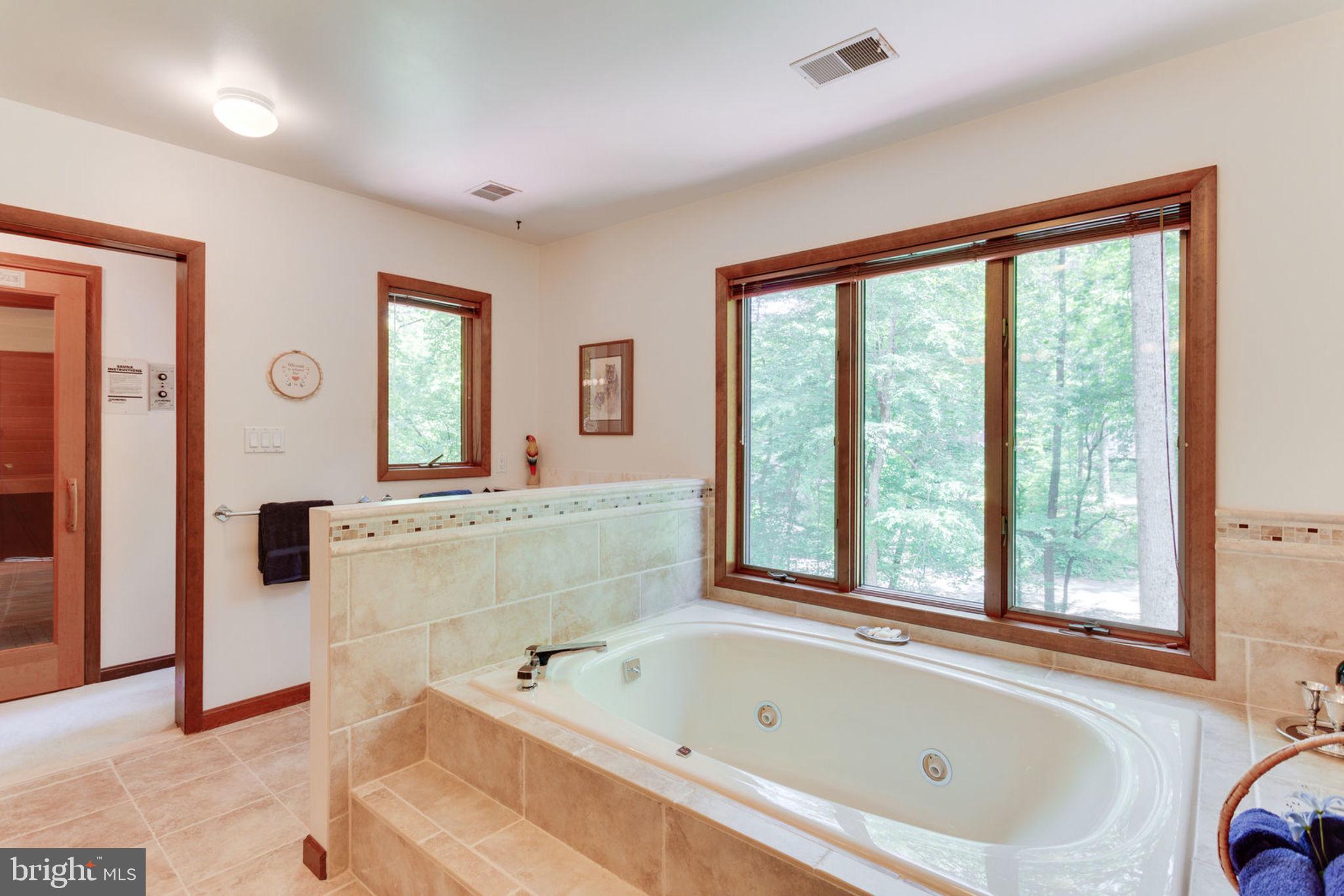 6230 Park Road McLean, VA 22101 - Photo 28 of 54 Master bath toward Jacuzzi, sauna & wooded views