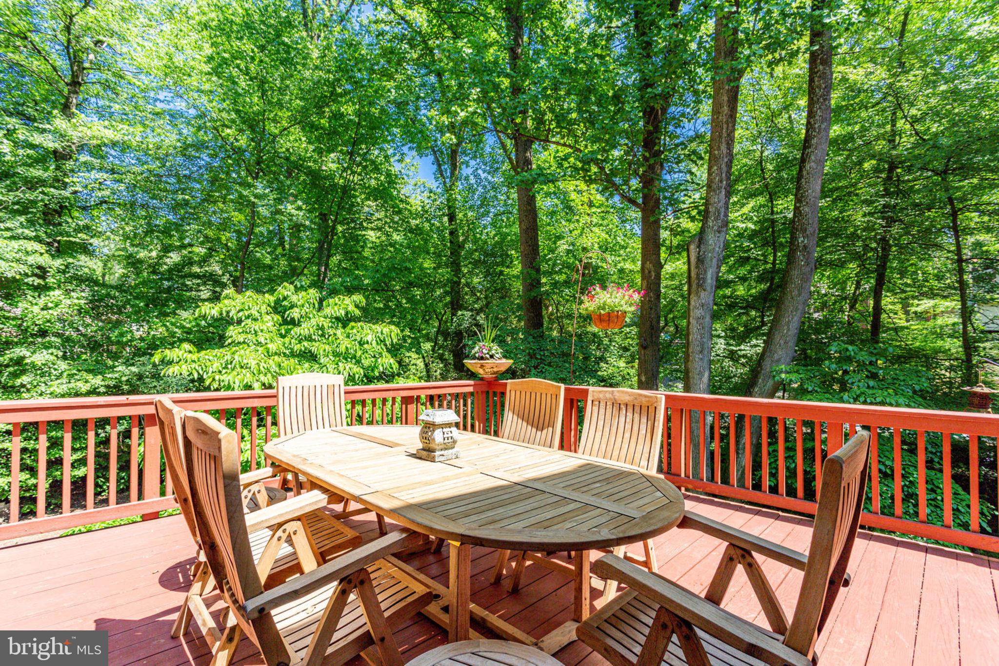 6230 Park Road McLean, VA 22101 - Photo 4 of 54 Gallery Image 4