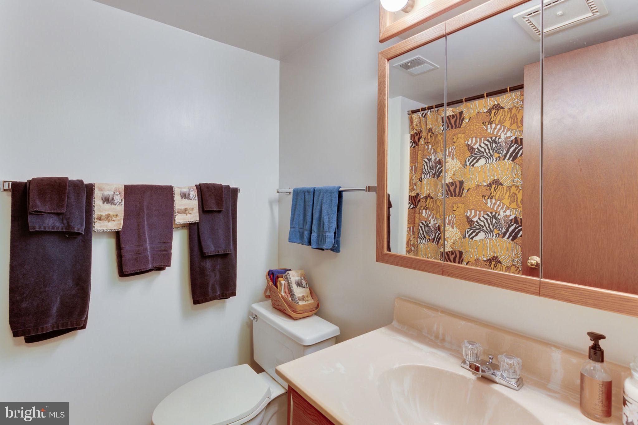 6230 Park Road McLean, VA 22101 - Photo 43 of 54 lower level full bath