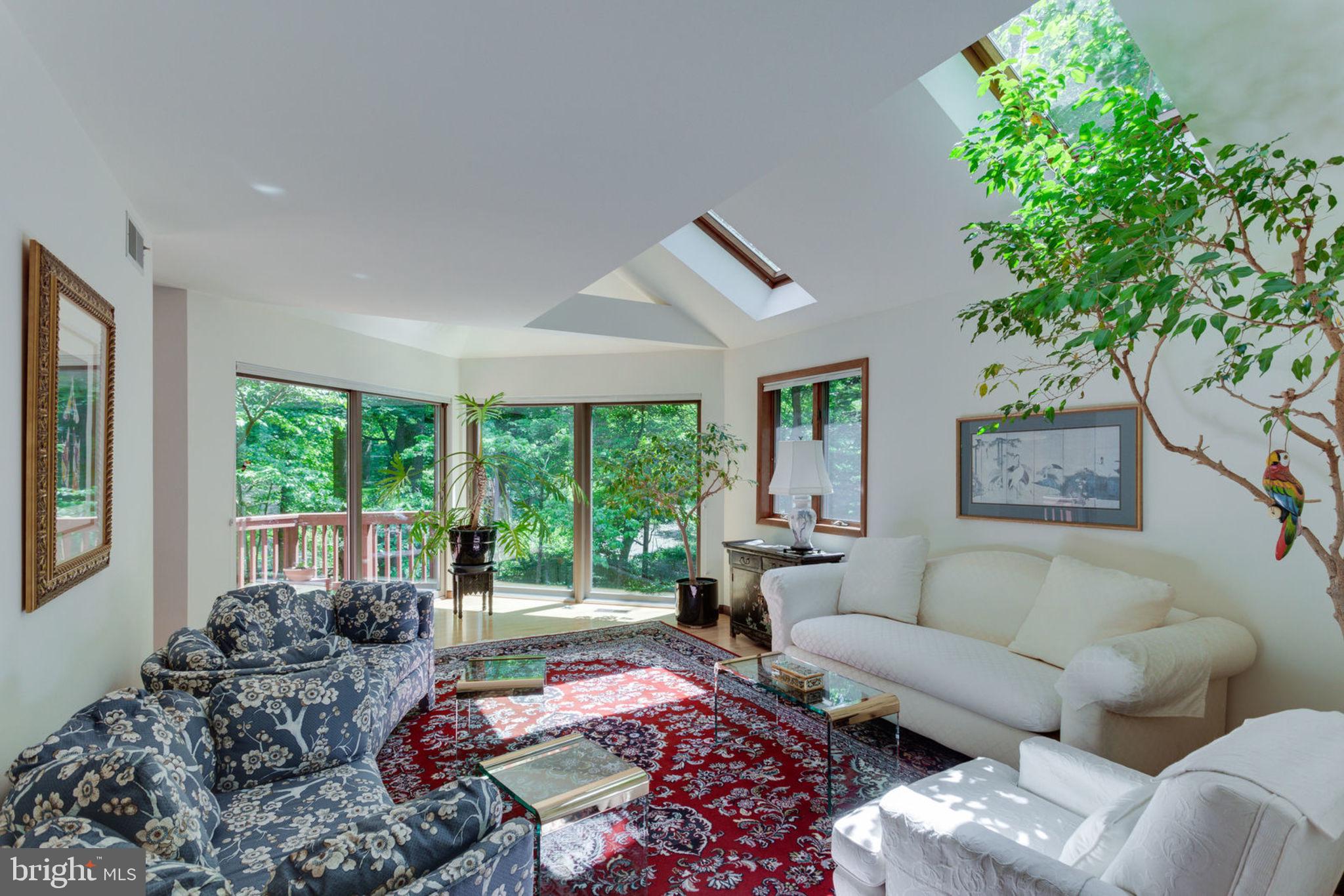 6230 Park Road McLean, VA 22101 - Photo 6 of 54 Living room with vaulted ceiling and skylights