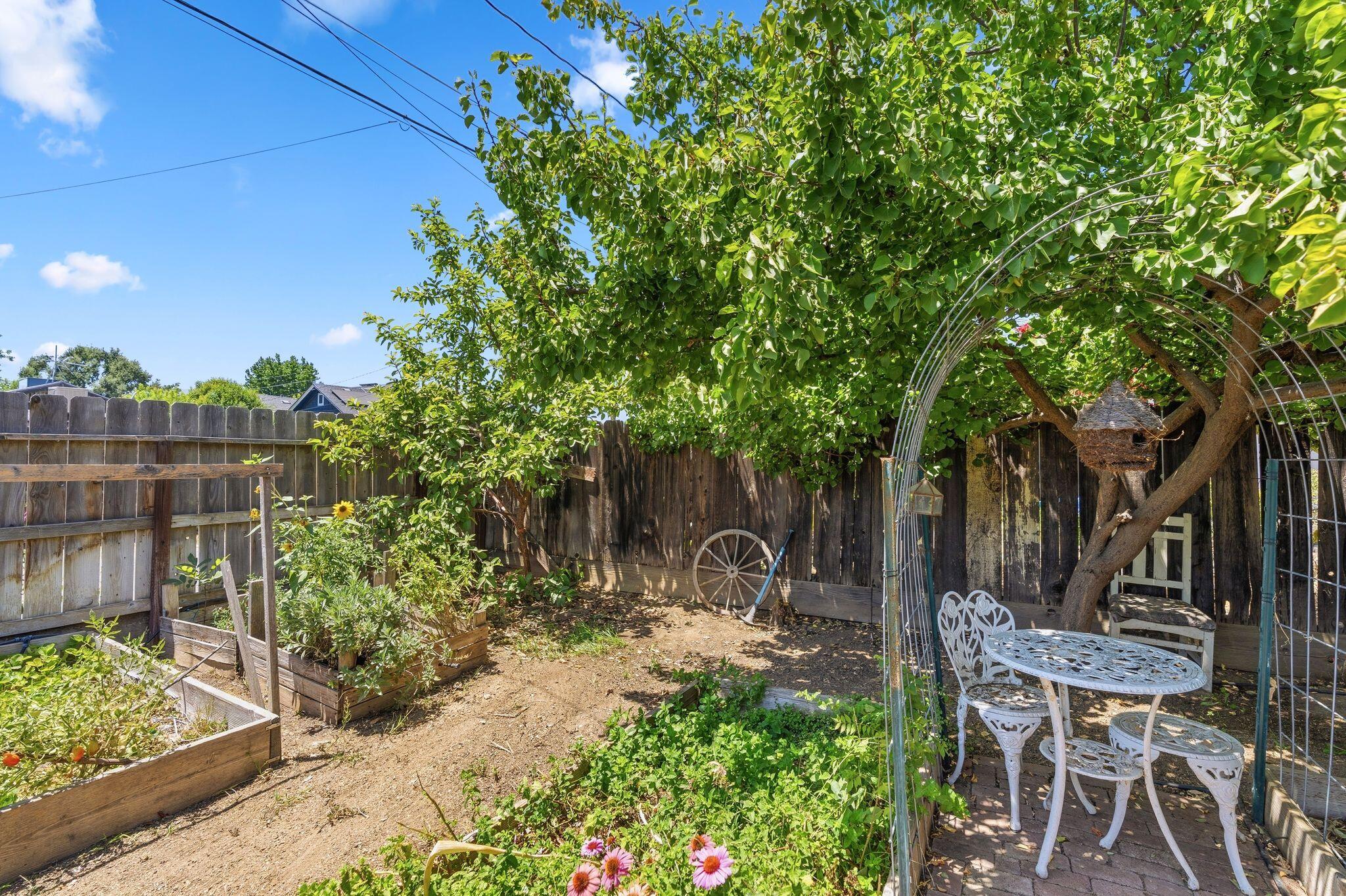 236 C Street Exeter, CA 93221 - Photo 23 of 23 mls_DSC06135