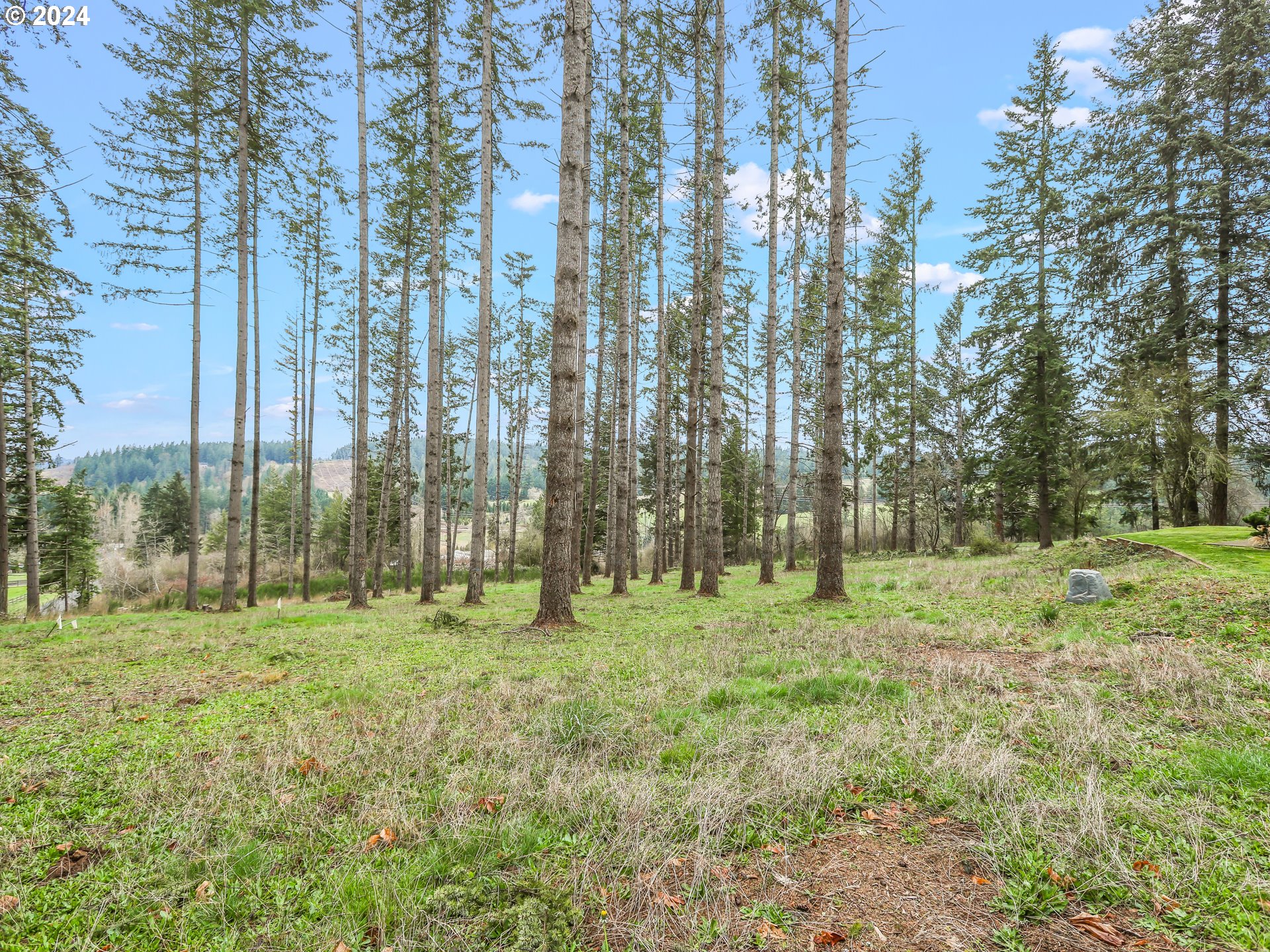 18115 South Dillman Road Oregon City, OR 97045 - Photo 42 of 47 Gallery Image 42