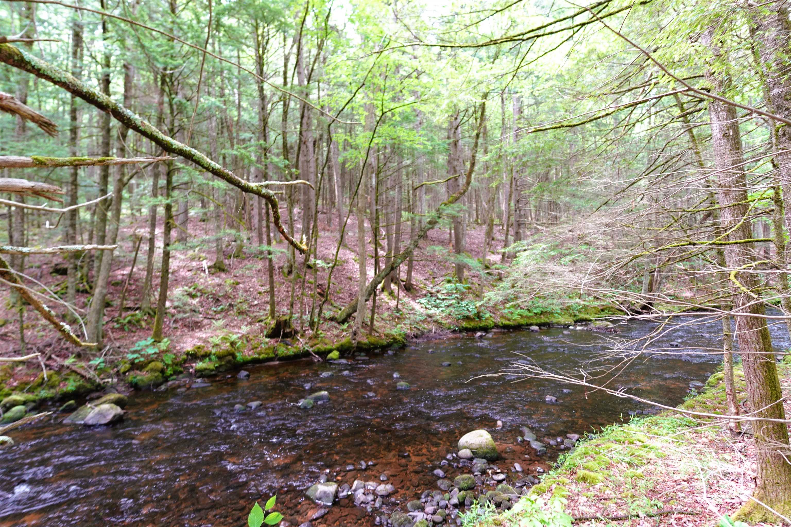 525 Richmond Road Winchester, NH 03470 - Photo 5 of 29