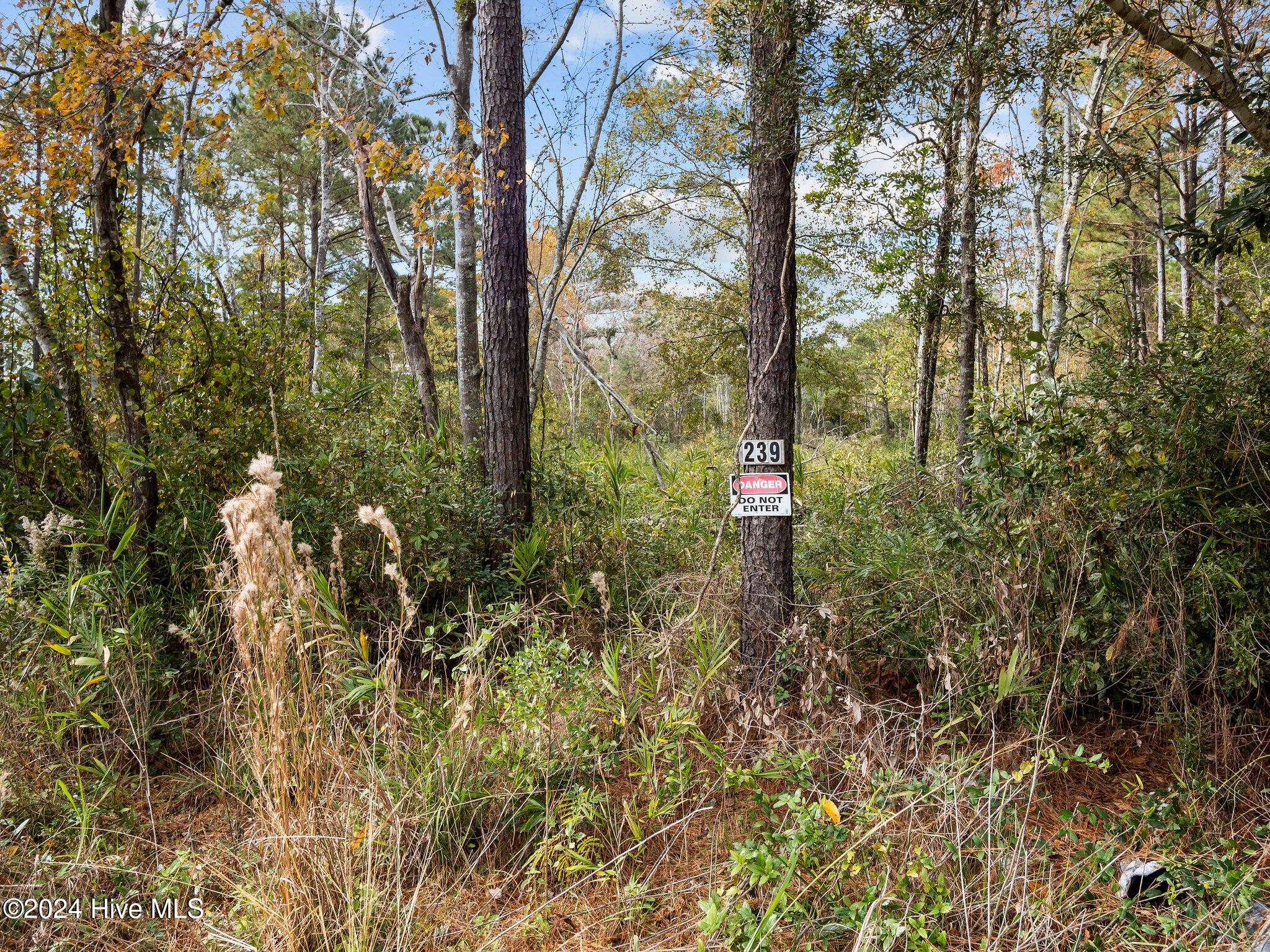 239 Old Timber Road Jacksonville, NC 28540 - Photo 15 of 15 15-web-or-mls-PB225021