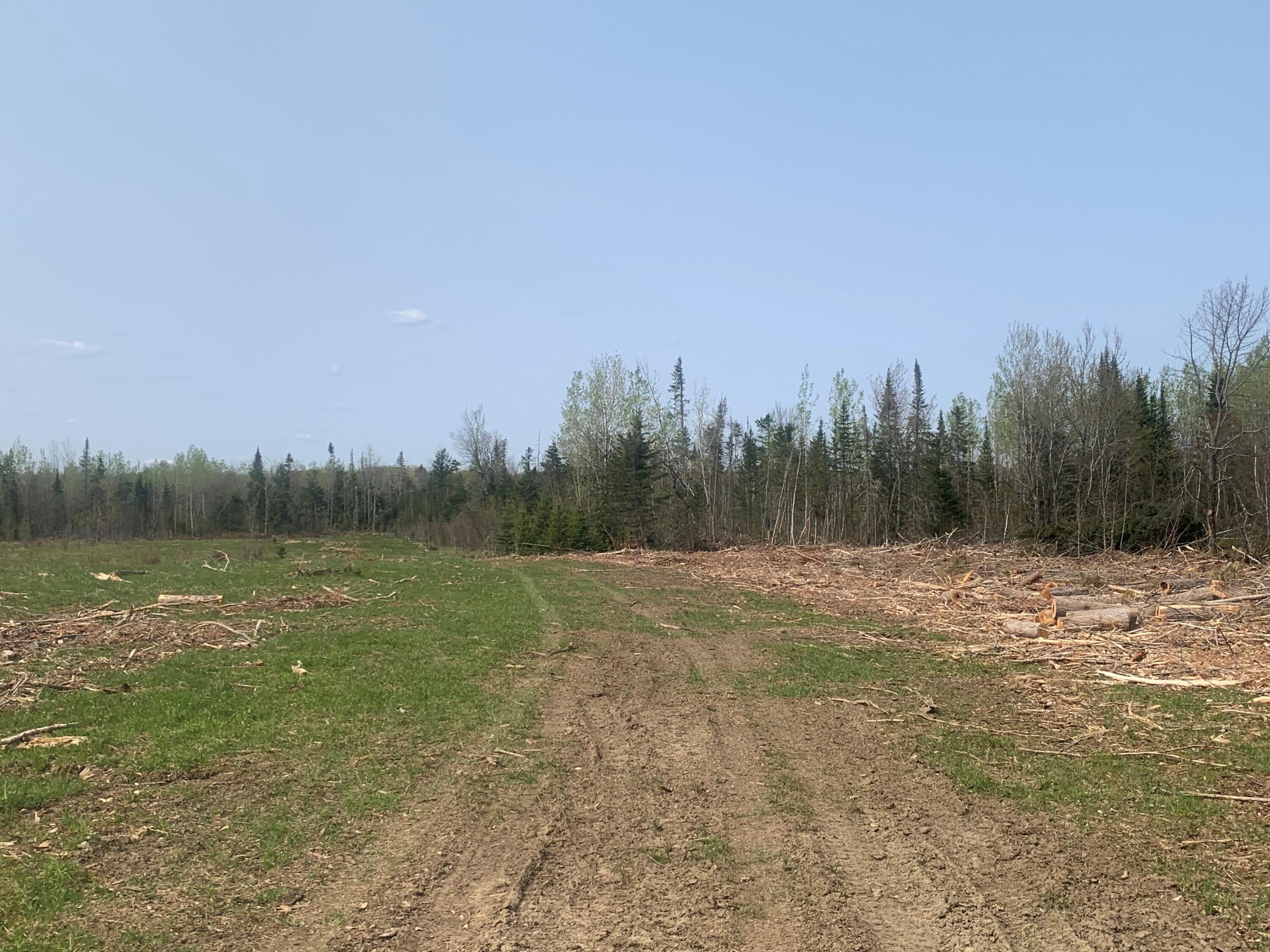 0 Townline Road Merrill, ME 04780 - Photo 7 of 21 MLS7