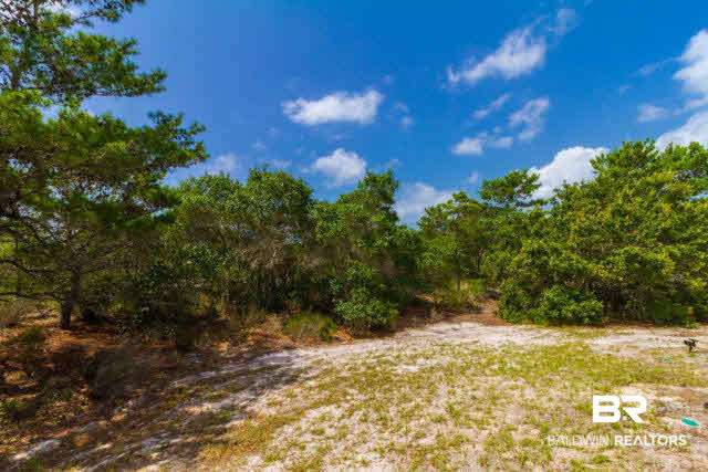 30330 Ono N Loop West Orange Beach, AL 36561 - Photo 18 of 24 Yard