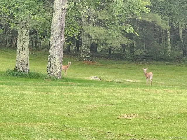 $599,000 | 100 Old Tacy Road, Unit TR95, Bethel, NY 12783