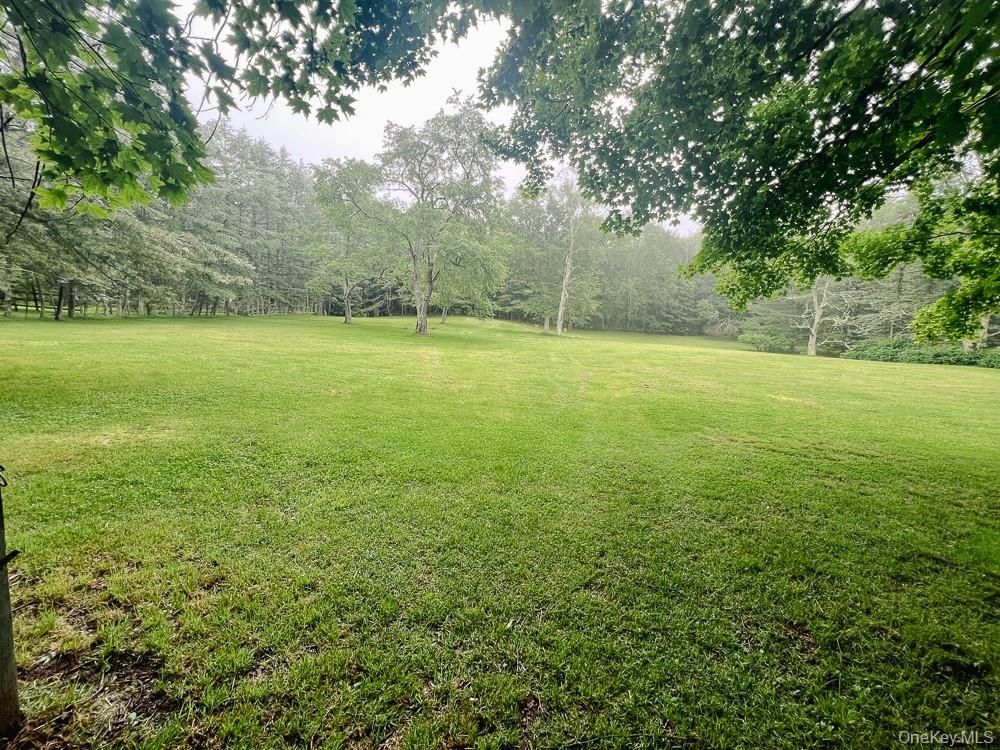 100 Old Tacy Road, Unit TR95 Bethel, NY 12783 - Photo 47 of 50 View of grassy yard