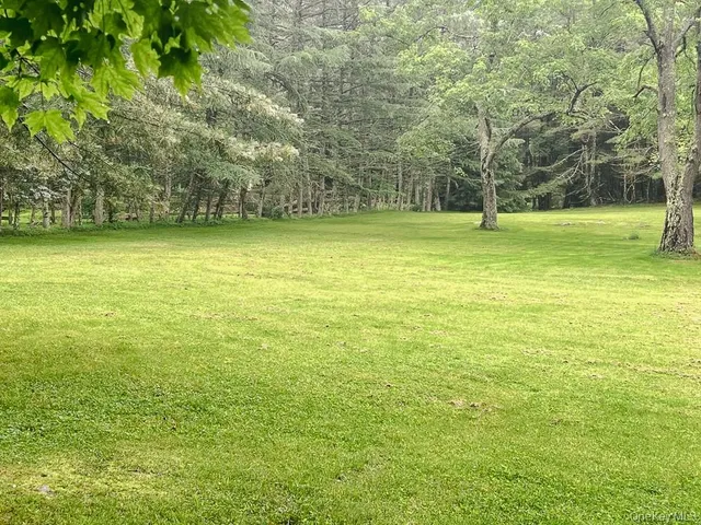 $599,000 | 100 Old Tacy Road, Unit TR95, Bethel, NY 12783