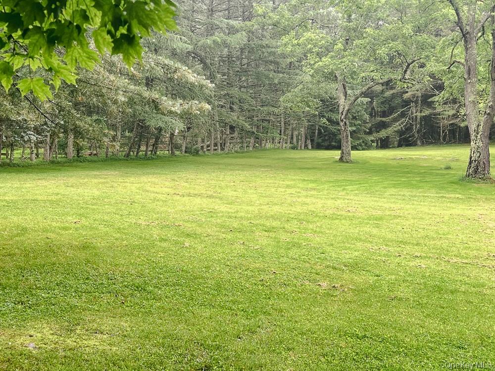 100 Old Tacy Road, Unit TR95 Bethel, NY 12783 - Photo 48 of 50 View of grassy yard featuring a wooded view