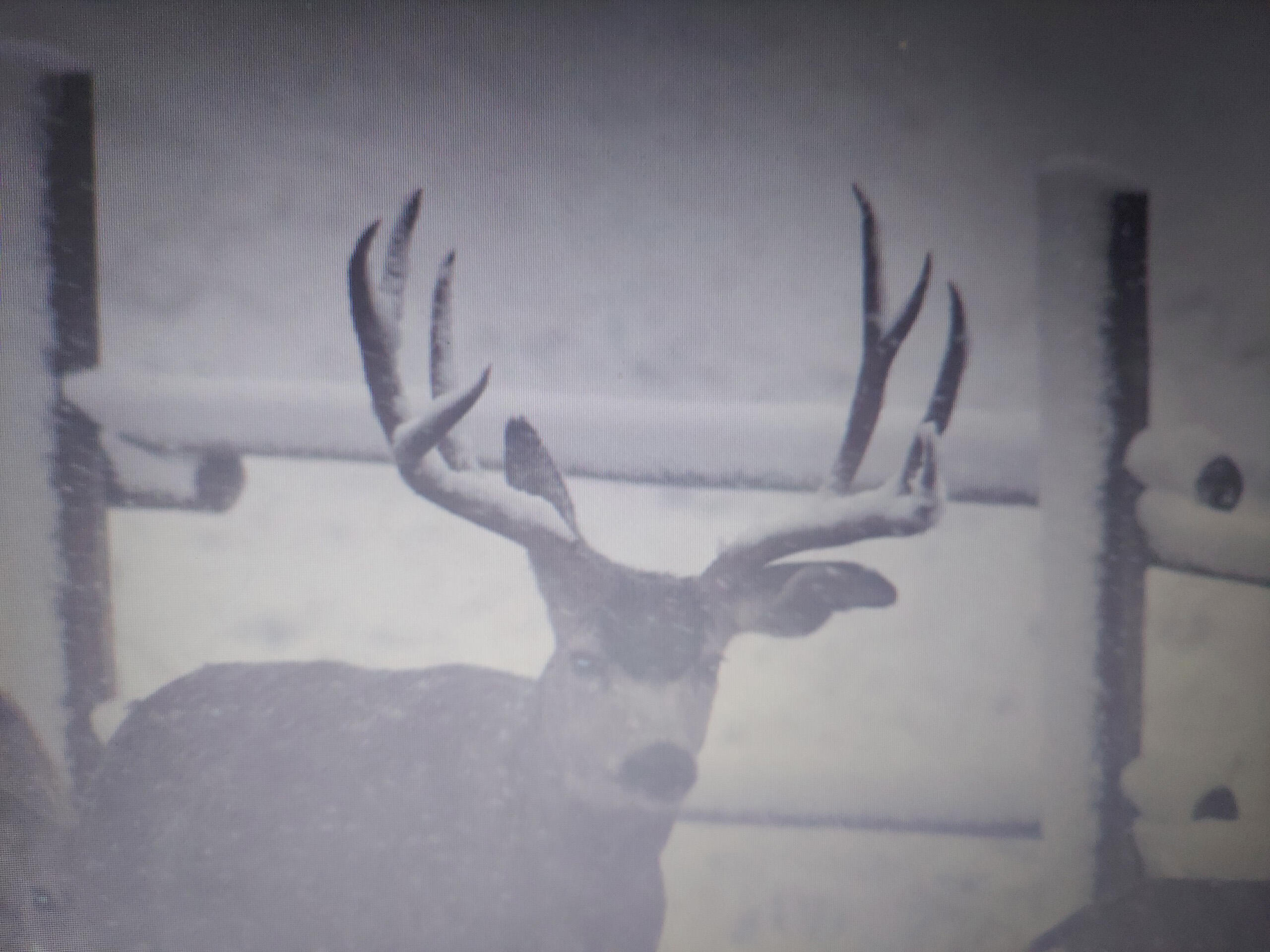 593 Lower Prairie Dog Road Sheridan, WY 82801 - Photo 25 of 142 123_1(32)
