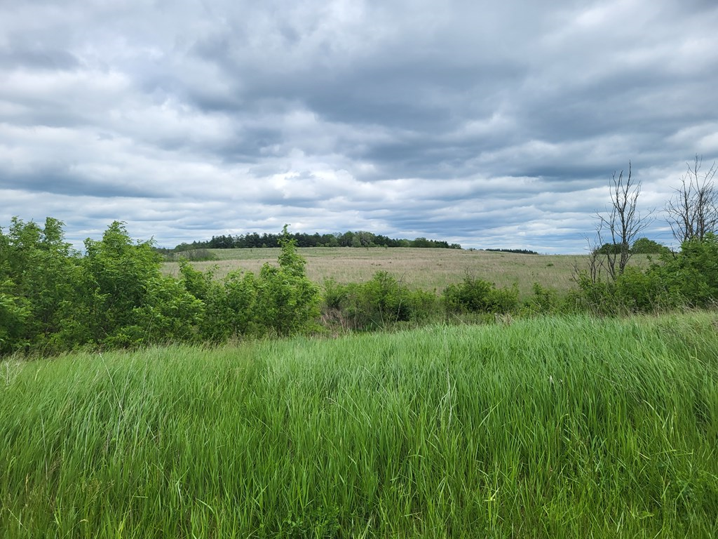 0 Corner Of Long Lane Rimersburg, PA 16248 - Photo 4 of 7