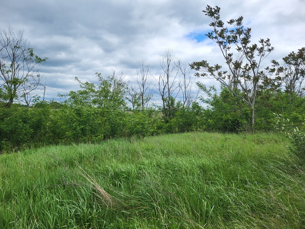 0 Corner Of Long Lane Rimersburg, PA 16248 - Photo 5 of 7