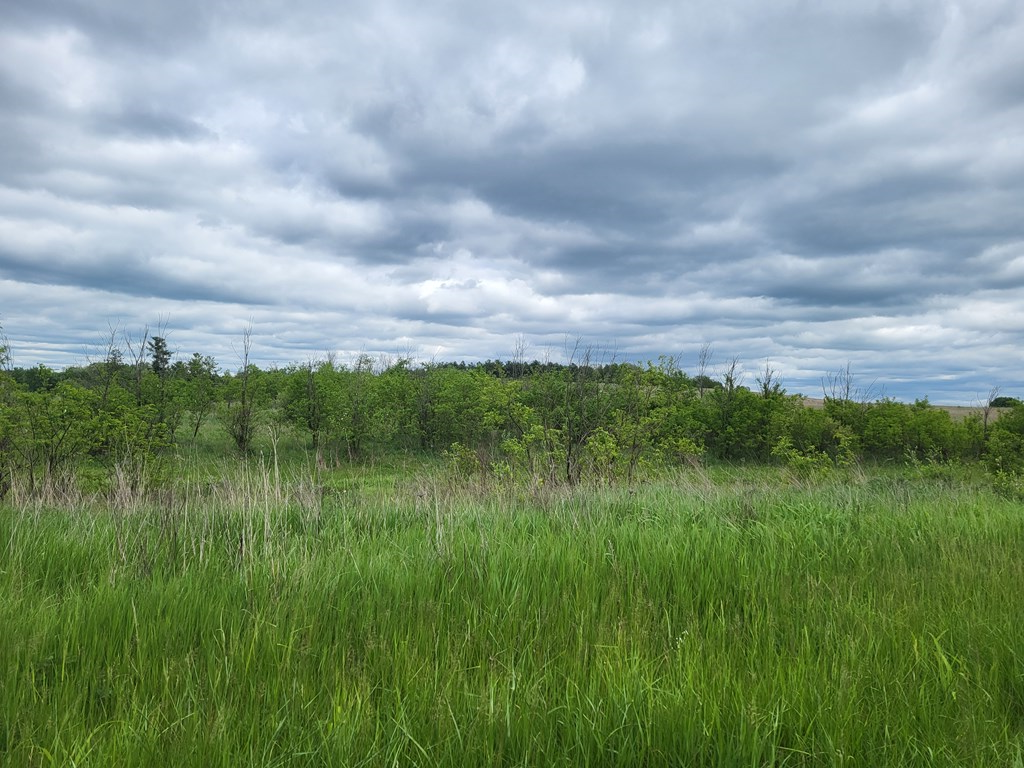0 Corner Of Long Lane Rimersburg, PA 16248 - Photo 7 of 7