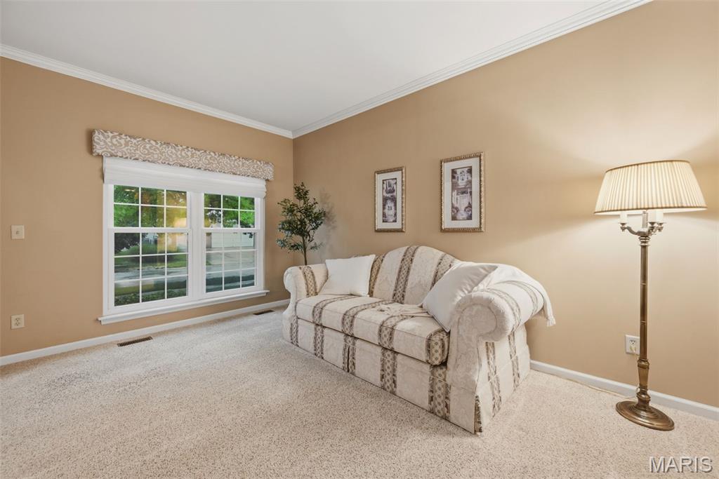 308 Remington Way Drive Ballwin, MO 63021 - Photo 14 of 52
