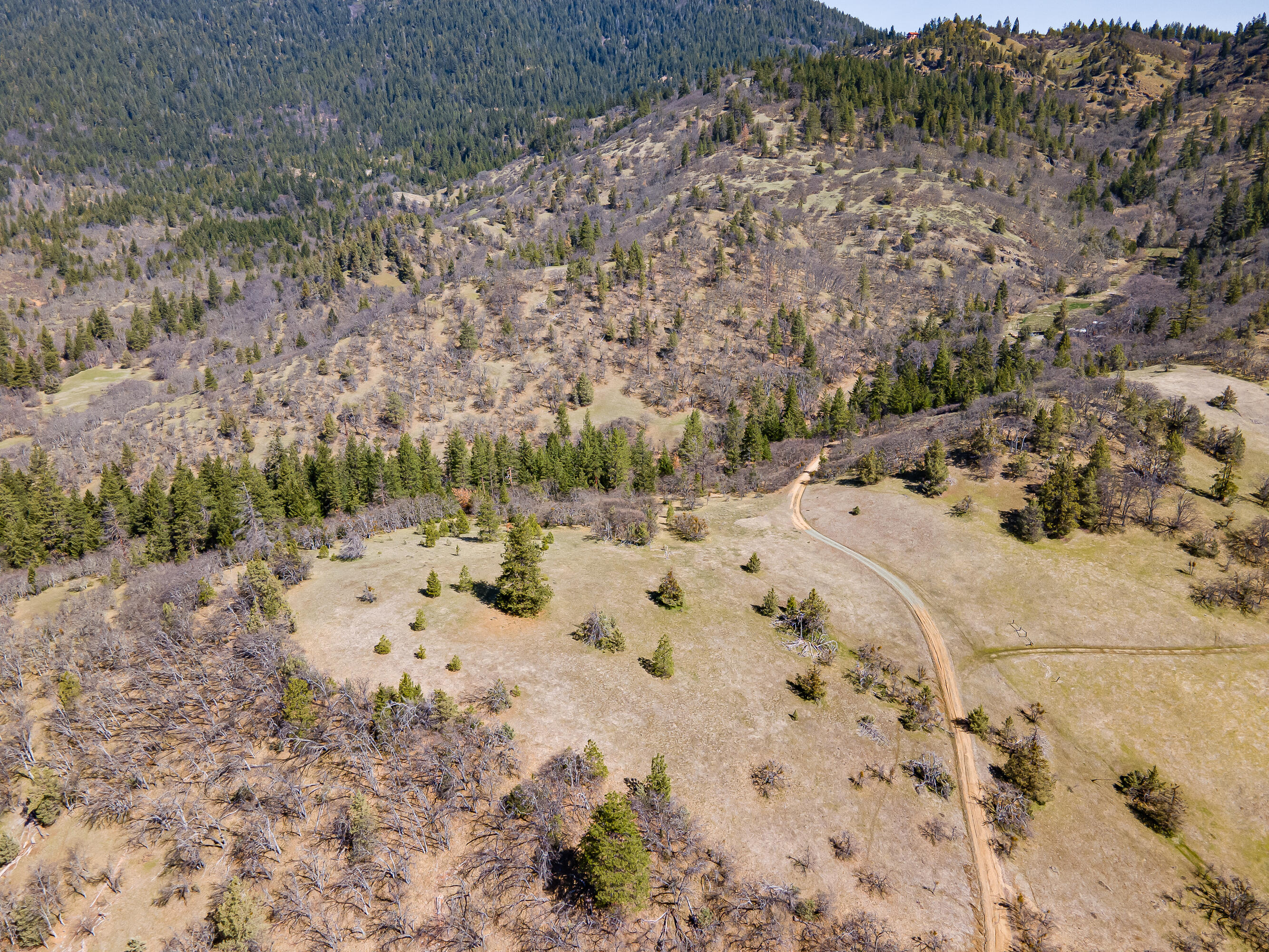 0 Colestin Road Ashland, OR 97520 - Photo 4 of 13 5