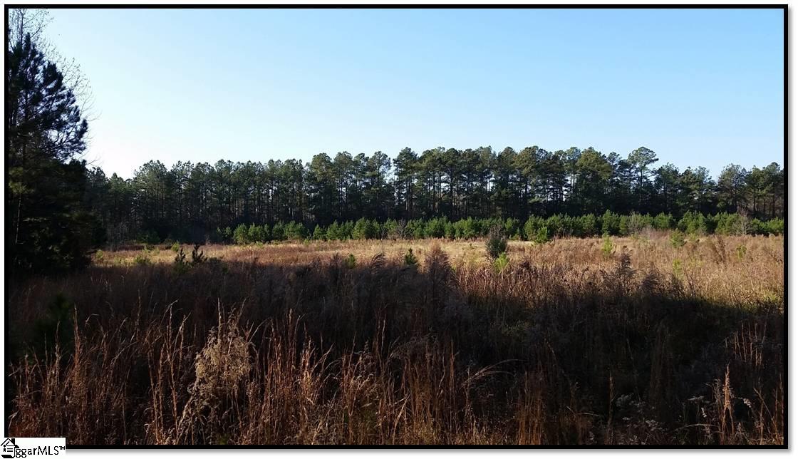 1370 Hook Road Honea Path, SC 29654 - Photo 2 of 6