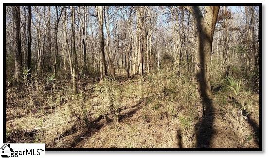 1370 Hook Road Honea Path, SC 29654 - Photo 5 of 6