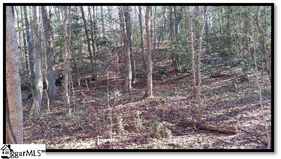 1370 Hook Road Honea Path, SC 29654 - Photo 6 of 6