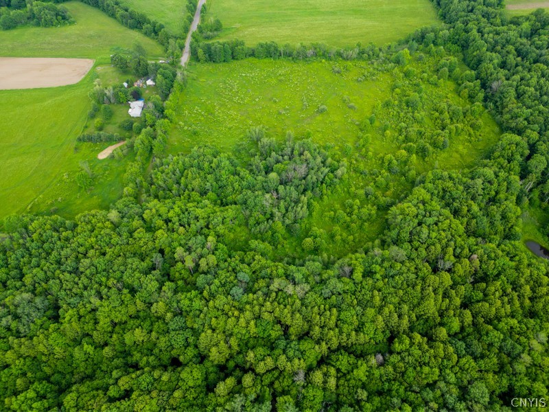 8031 Benson Road Floyd, NY 13354 - Photo 26 of 33