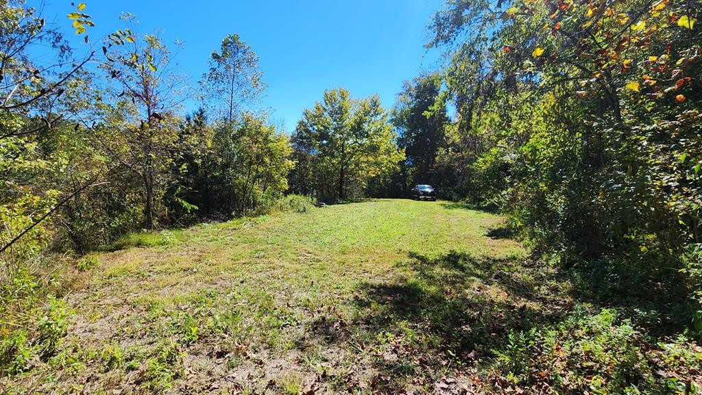 0 Reagan Branch Road Seymour, TN 37865 - Photo 29 of 31