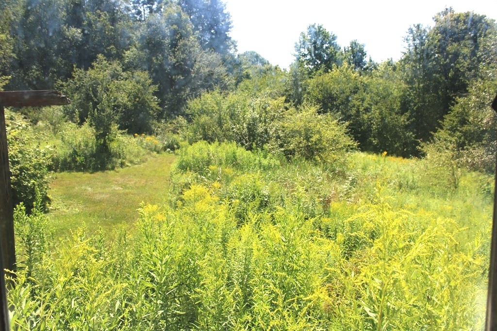 176 Boughton Road Worcester, NY 12197 - Photo 22 of 33