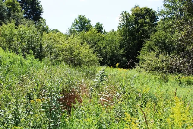 $60,000 | 176 Boughton Road, Worcester, NY 12197