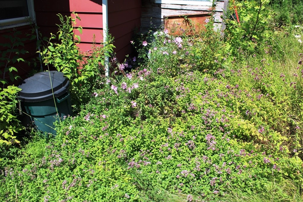 176 Boughton Road Worcester, NY 12197 - Photo 29 of 33