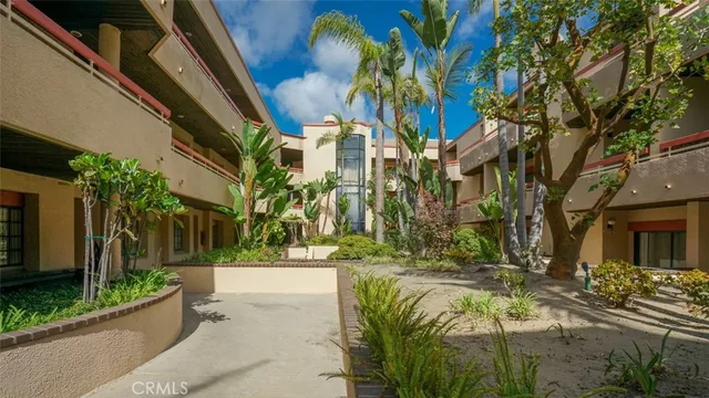 a view of a garden with plants