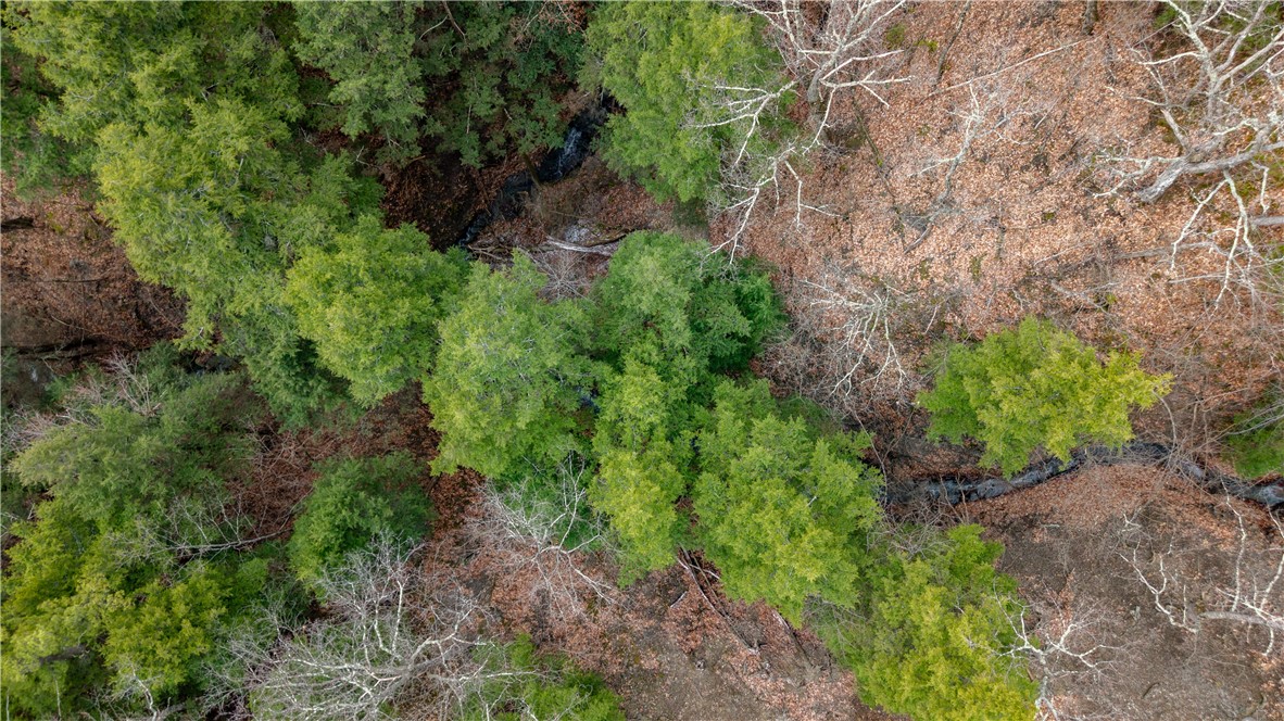 21 Rt Naples, NY 14512 - Photo 20 of 42