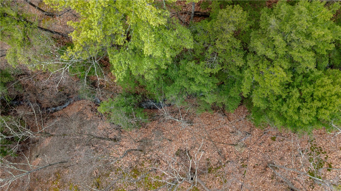 21 Rt Naples, NY 14512 - Photo 21 of 42