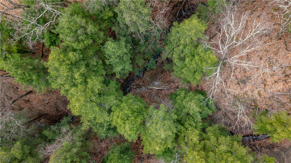 21 Rt Naples, NY 14512 - Photo 22 of 42