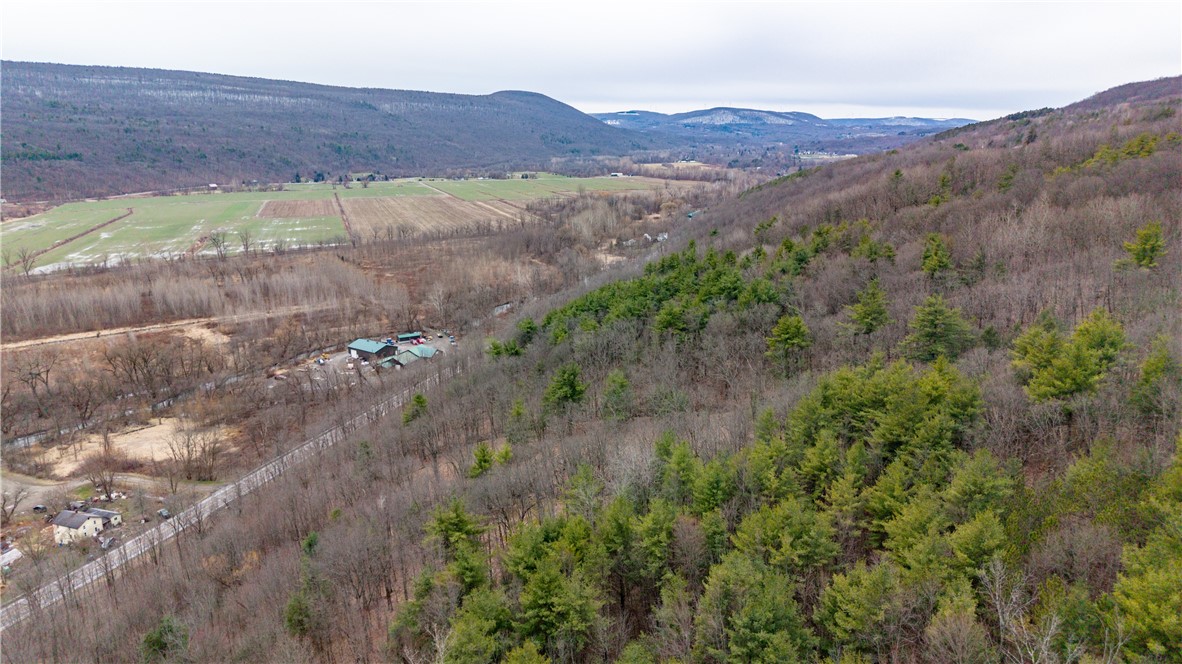 21 Rt Naples, NY 14512 - Photo 7 of 42