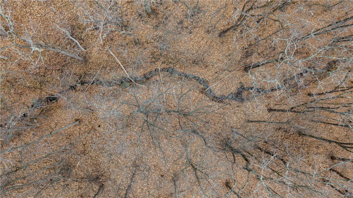 21 Rt Naples, NY 14512 - Photo 10 of 42