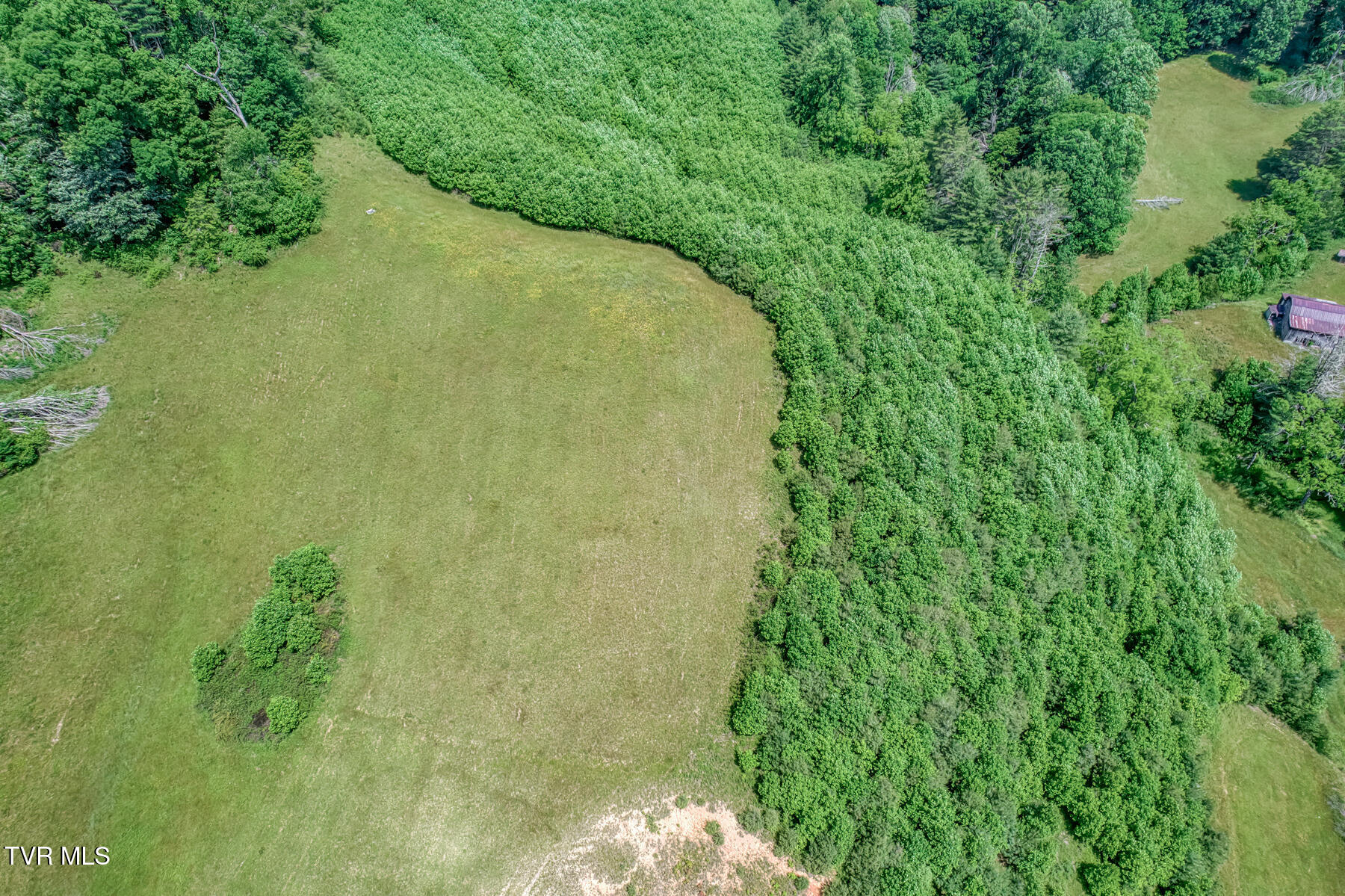 1044 Waters Road Laurel Bloomery, TN 37680 - Photo 66 of 72 1044 Waters Rd-68