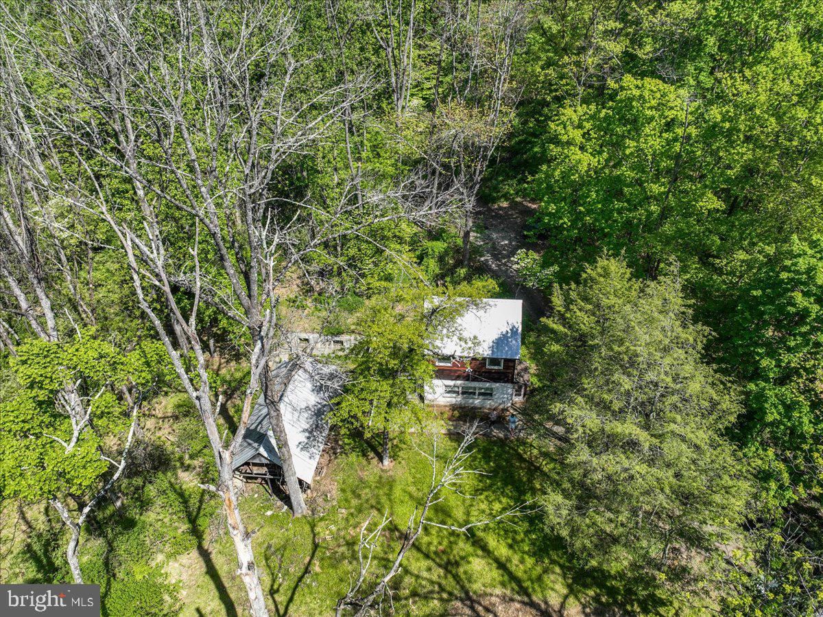 133 Woosamonsa Road Pennington, NJ 08534 - Photo 3 of 27