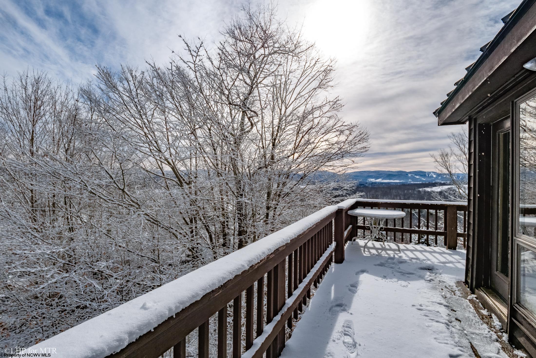 65 Snow Run Road Davis, WV 26260 - Photo 29 of 36 Gallery Image 29