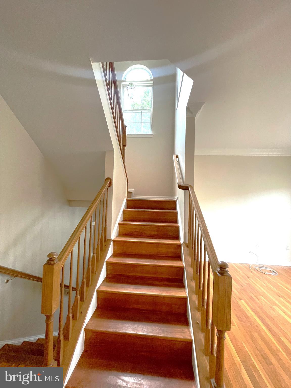 6101 Newport Terrace Frederick, MD 21701 - Photo 3 of 20 Stairs