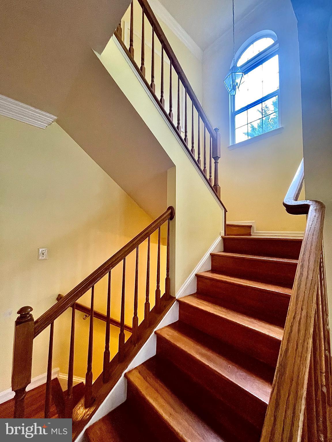 6101 Newport Terrace Frederick, MD 21701 - Photo 4 of 14 Stairs