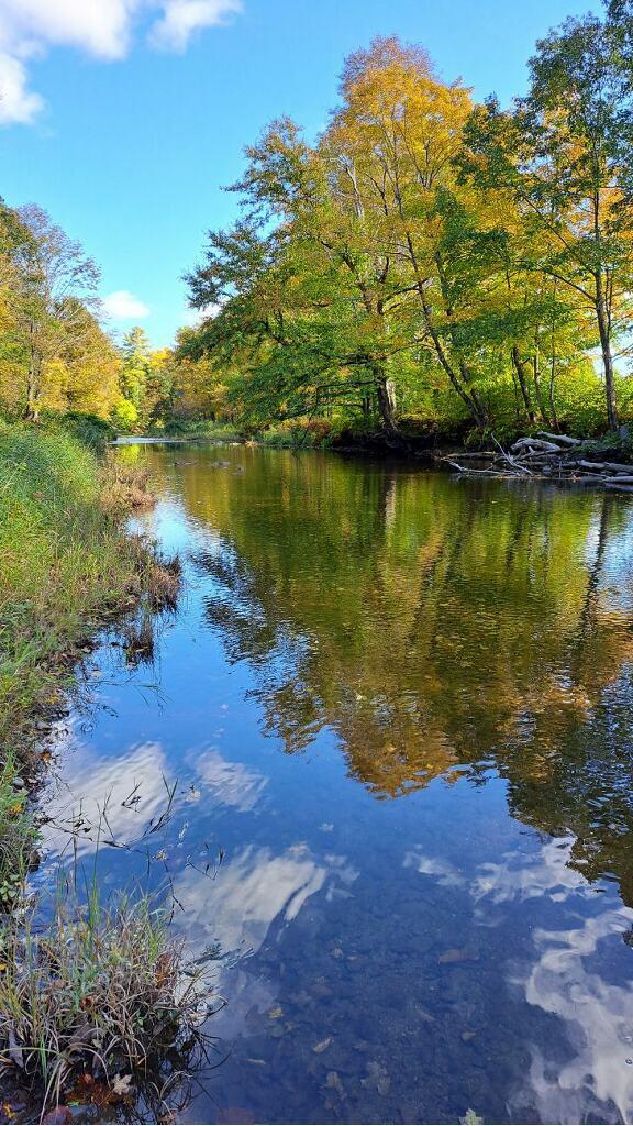 0 Sawyers Mills Road Starks, ME 04911 - Photo 1 of 14 Lemon Stream