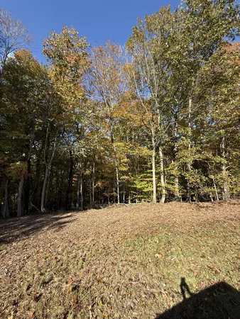 a backyard of a house